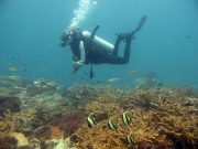 Diving @ Hin Klai with Dive & Relax