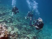 Diving @ Koh Haa with Dive & Relax