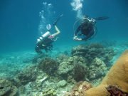 Koh Haa Diving