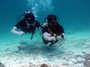 Advanced Open Water Diver on Koh Lanta with Dive & Relax