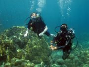 Discover Scuba Diving on Koh Lanta with Dive & Relax